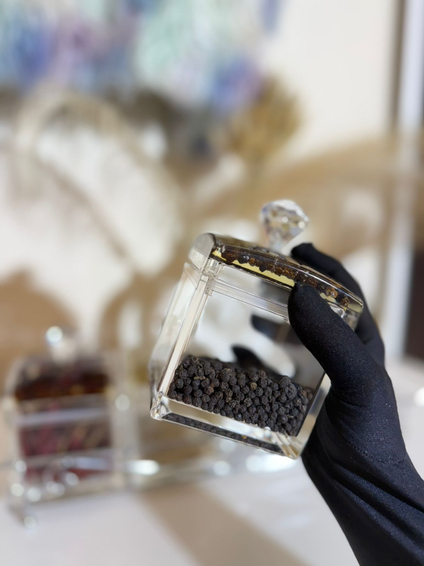 Luxury Acrylic Spice Jar Set with Metal Stand